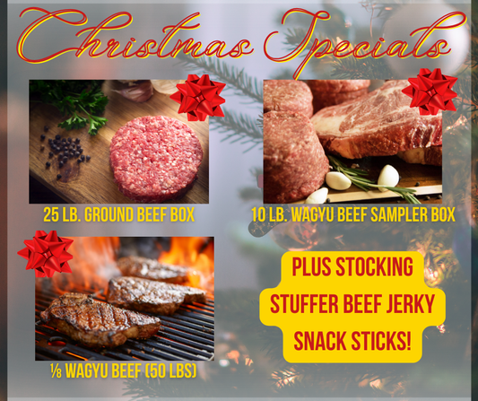 CHRISTMAS SPECIAL ‼️FREE SHIPPING‼️