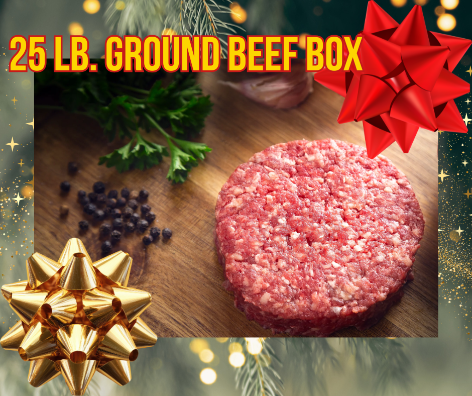 CHRISTMAS SPECIAL ‼️FREE SHIPPING‼️