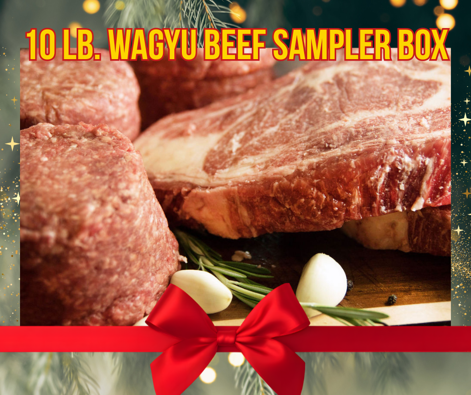 CHRISTMAS SPECIAL ‼️FREE SHIPPING‼️