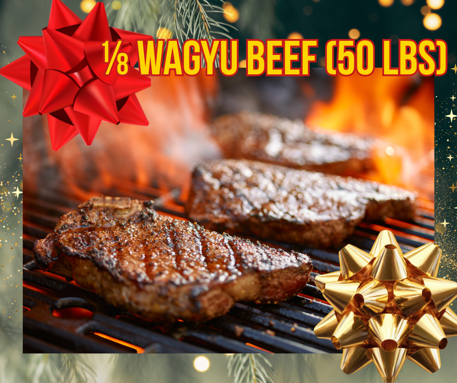 CHRISTMAS SPECIAL ‼️FREE SHIPPING‼️