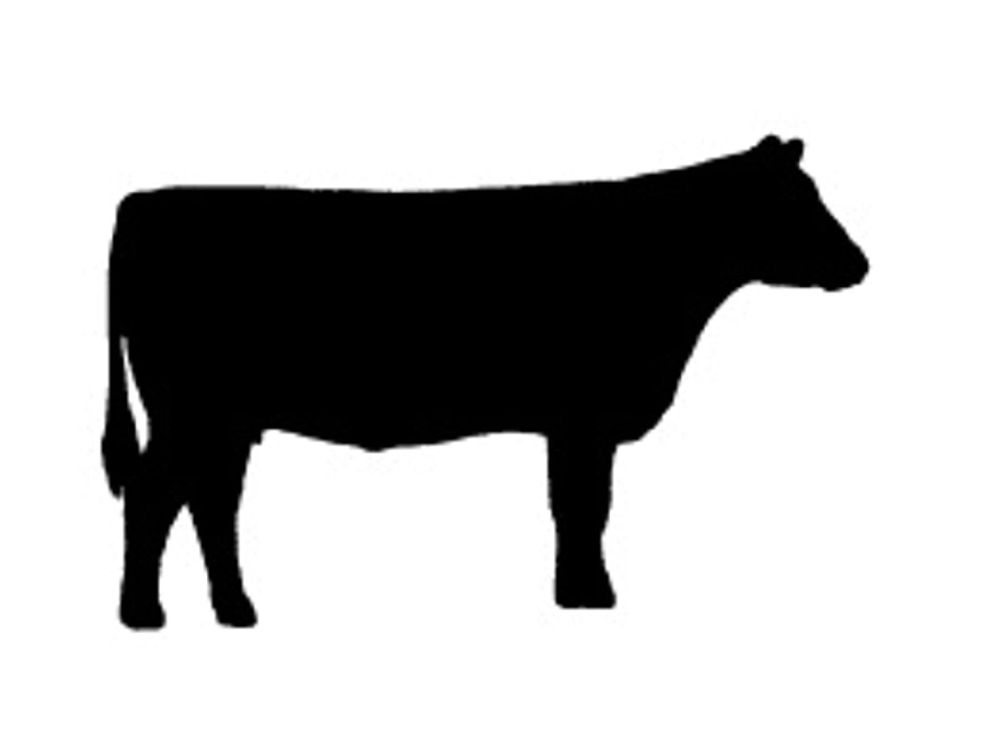 Black Angus Steer Whole or 1/2 or 1/4 Beef **DEPOSIT**